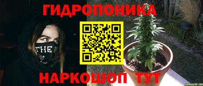 меф Новозыбков