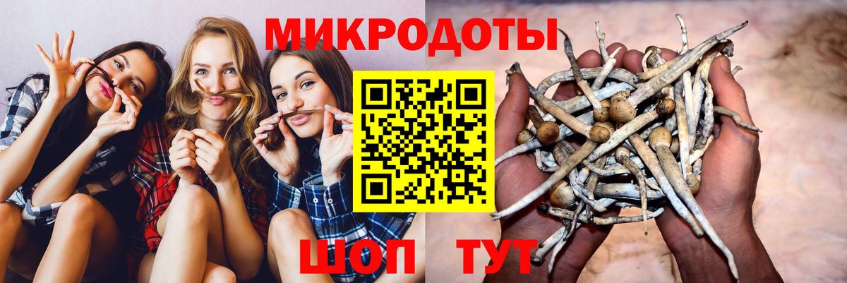 Псилоцибиновые грибы Psilocybe Заречный