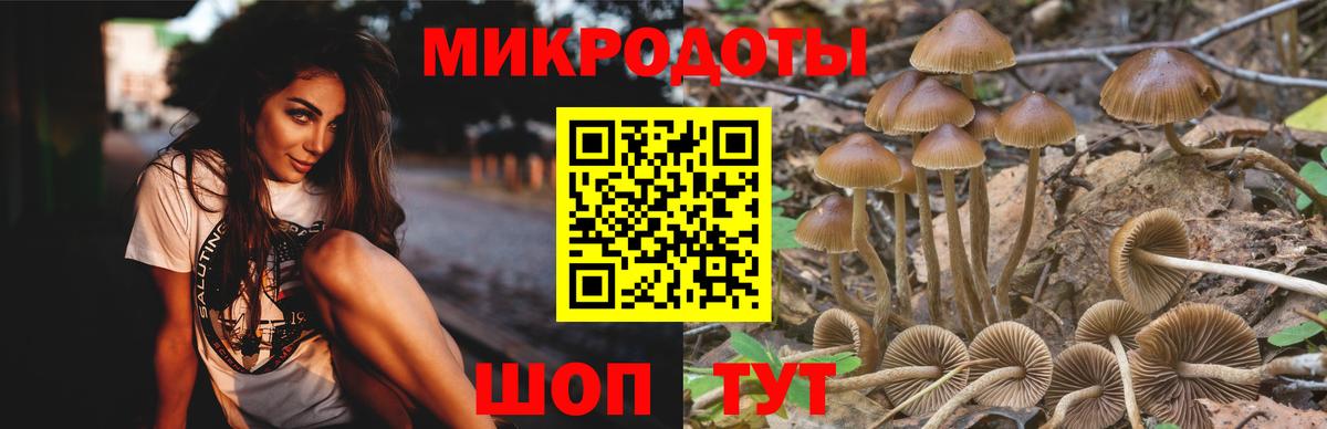 Псилоцибиновые грибы прущие грибы  Вход с VPN  Псилоцибиновые грибы MAGIC MUSHROOMS  Заречный 